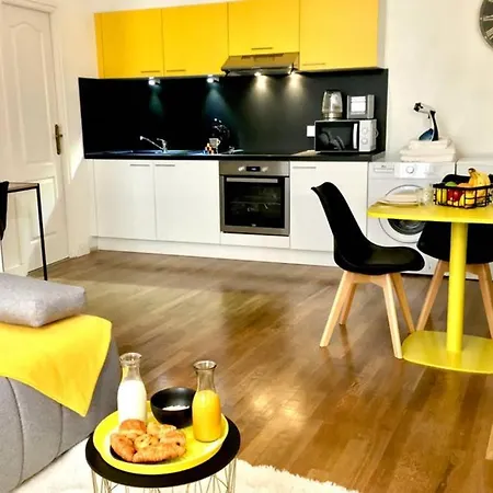 Luxury-centre-ville -gare-netflix Wifi Apartment Niort