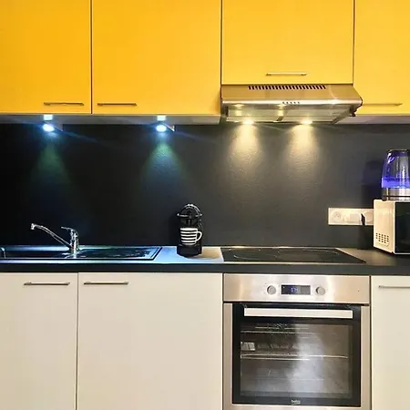 アパート Luxury-centre-ville -gare-netflix Wifi ニオール